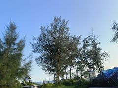 -西涌国际滨海旅游区