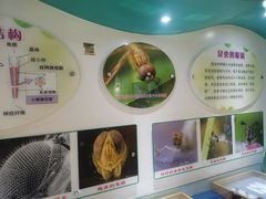 -上海昆虫博物馆