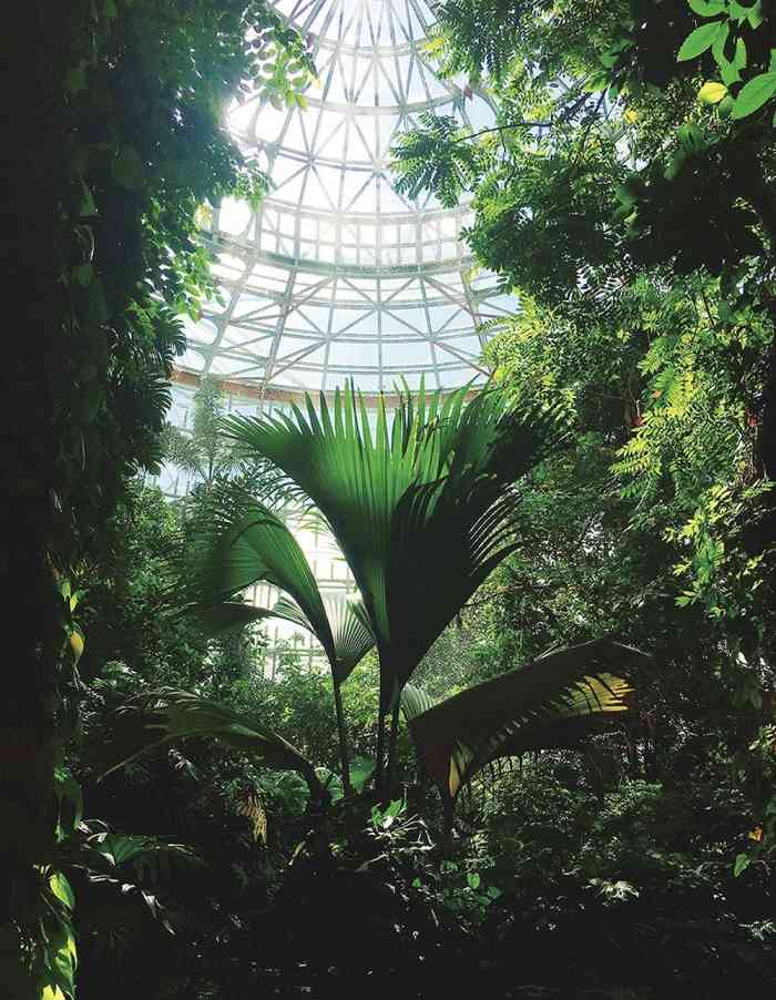 台北植物园-"小时候来过植物园,觉得好大好漂亮!现在.
