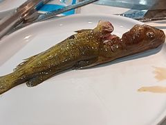 -苏格里岛自助烤肉海鲜火锅(成都金牛万达店)