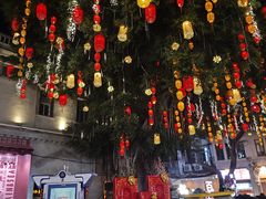 -鑫鸿达·海鲜闽菜热炒小馆(中山路店)