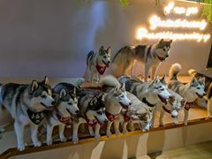 -Husky Go! 哈士奇体验馆·宠物咖啡厅狗咖