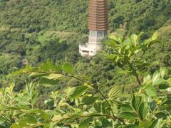 -深圳仙湖植物园
