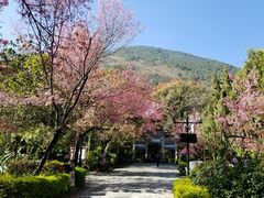 -蝴蝶泉公园