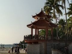 -东郊椰林