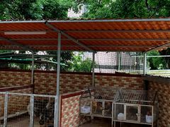 -洞背山庄(洞背院区式管理小区店)