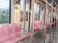 -外高桥保税区南(地铁站)