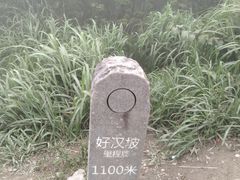 -梧桐山风景名胜区