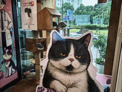 -哆趣宠物医院·眼科·内镜·急重症转诊中心(上海店)