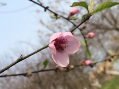 -白塔湖国家湿地公园