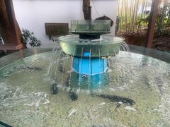 -木子山庄·安徽省老字号·中国炖锅宴