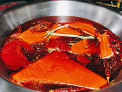 -王婆乔鲜鱼自助火锅(蜀汉路店)