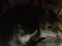 -谜盒子奇幻密室(南屏店)