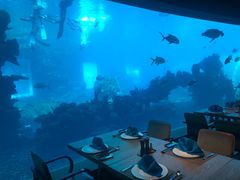-海棠湾洲际-涛·海底餐厅·美人鱼·自助餐·海底隧道