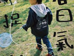 -洨河生态公园
