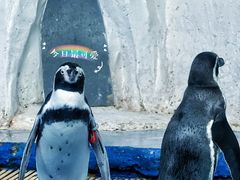 -太平洋海底世界