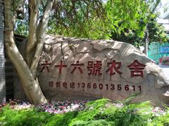 -杨厝六十六农庄农舍(杨厝路店)