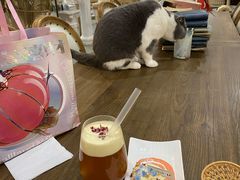 -共舞时光猫咖·狗咖(新街口店)