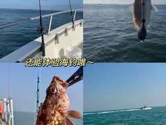 -巧克力渔家.小船海鲜家常菜(万平口店)