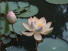 -昆山招商花园城