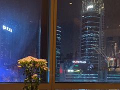-广州富力君悦大酒店空中花园