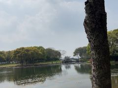 -蠡湖大桥公园