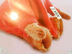 -珍妮曲奇聪明小熊(尖沙咀店)