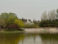-大望京公园