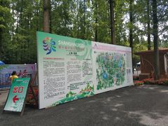 -东平国家森林公园
