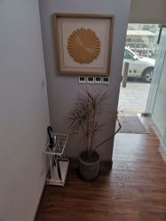 -THE LOG SALON 记录