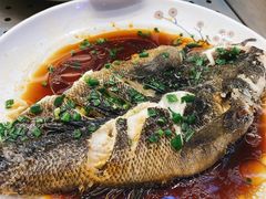 多宝鱼-盒马鲜生(悦峰店)