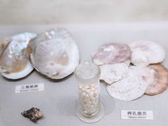 -北京中医药大学-中医药博物馆
