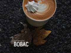-BOBAC