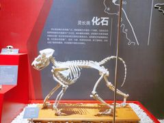 -国家自然博物馆