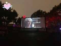 -枫花园汽车电影院(朝阳公园店)