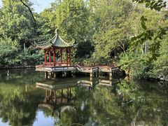 -同济大学四平路校区游泳馆