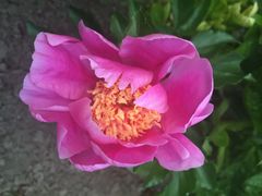 iphone_upload_pic-景山公园