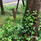 南京人很有福这个城市，有山有水