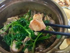 砂锅焗鸡-幽优农庄·森波拉特色本地农家菜