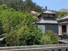 -老张烤羊(王哥庄店)
