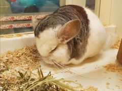 -龙猫仔乐园(惠福东路店)