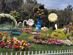 -上海共青森林公园