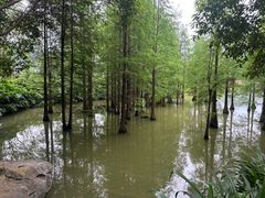 -南宁花花大世界景区