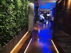 -上海外滩英迪格酒店