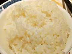 -猛料鸭仔饭(赤坎店)