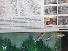 -上海仁爱医院