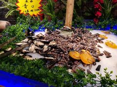 -银鲨海鲜烤肉火锅自助餐厅(五星店)