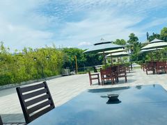 -厦门悦华酒店·绿庭主题自助餐厅