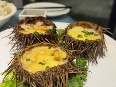 -大连湾旭日·家宴·海肠捞饭(马栏广场店)