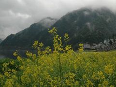 -新安江山水画廊风景区